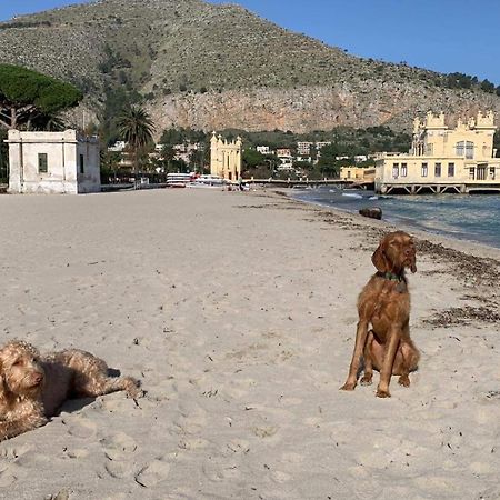 Due Cani Apartment Palermo Eksteriør billede